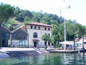 Sede